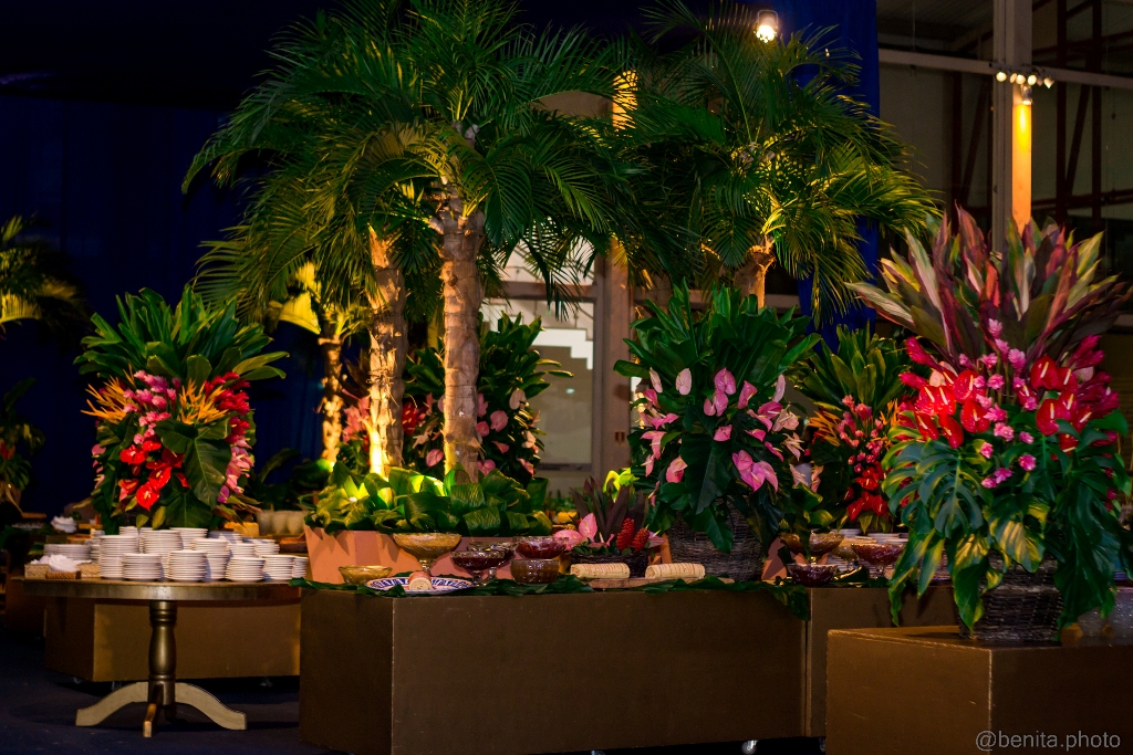 CBM AL 2018 (129).jpg