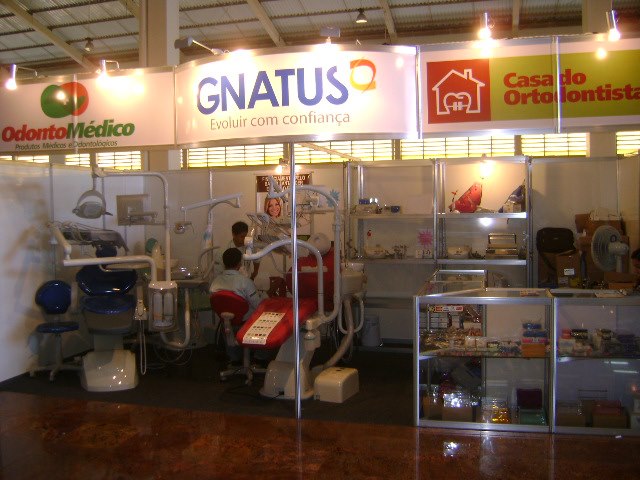 stand 5.jpg